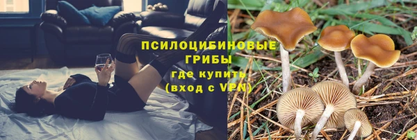 стафф Алексеевка