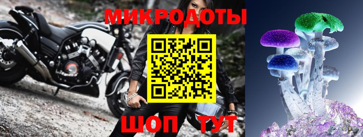 Сарапул  Псилоцибиновые грибы Psilocybe  Псилоцибиновые грибы Cubensis  Вход с VPN 